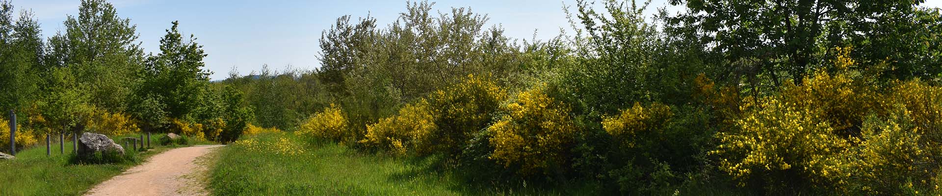 Bannière SANVIGNES EN LIGNE