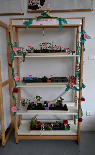 Bouturothèque à la bibliothèque