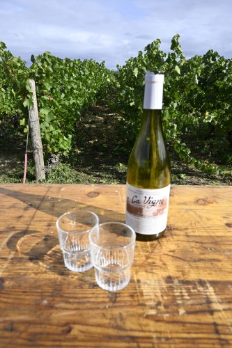 Bouteille de la vigne