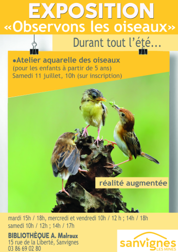 exposition "observons les oiseaux" à la bibliothèque durant tout l'été